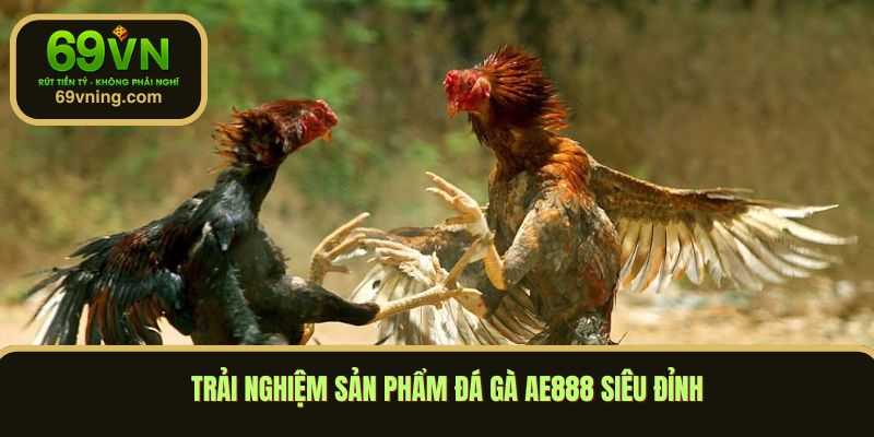 Trải nghiệm sản phẩm đá gà AE888 siêu đỉnh