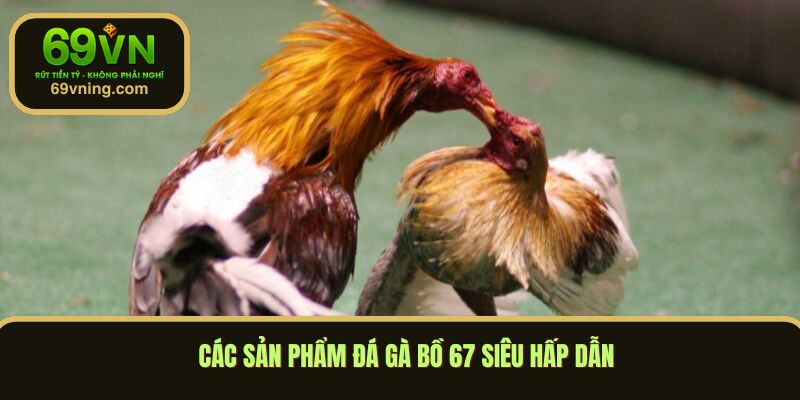 Các sản phẩm đá gà bồ 67 siêu hấp dẫn 